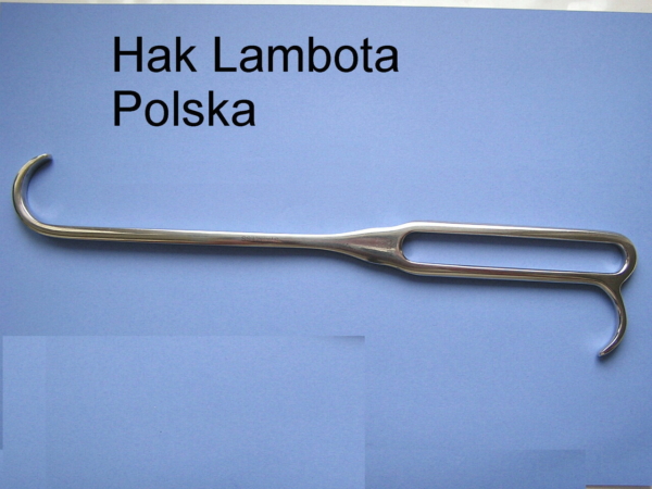 Hak Lambota